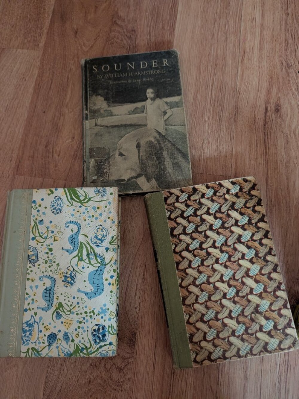 Vintage Decorative Book Bundle - 3 Hardcover Classics (Audubon, Reader’s Digest,